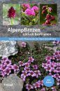 Alpenpflanzen Einfach Bestimmen: Schritt für Schritt Pflanzenarten der Alpen Kennenlernen [Easy Identification of Alpine plants: Get to Know Plant Species in the Alps Step by Step]
