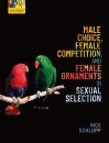 Male Choice, Female Competition, and Female Ornaments in Sexual Selection
