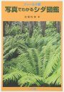 Picture Indents of Ferns (Field Edition) [Japanese]