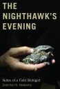 The Nighthawk's Evening
