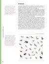 Nederlandse Vogels in Hun Domein [Dutch Birds in Their Domain]