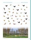 Nederlandse Vogels in Hun Domein [Dutch Birds in Their Domain]