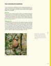 Nederlandse Vogels in Hun Domein [Dutch Birds in Their Domain]