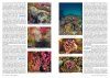 Atlante di Flora & Fauna del Mediterraneo [Atlas of Flora & Fauna of the Mediterranean]