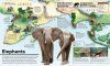 What's Where on Earth? Animal Atlas