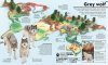 What's Where on Earth? Animal Atlas