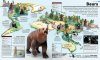 What's Where on Earth? Animal Atlas