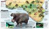 What's Where on Earth? Animal Atlas