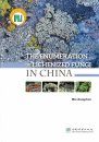 The Enumeration of Lichenized Fungi in China