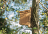 NHBS Wooden Bird Nest Box