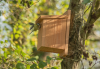 NHBS Wooden Bird Nest Box