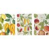 Botanical Art Notebook Set - Lemon, Chillis and Apples