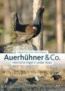 Auerhühner & Co.: Heimliche Vögel in Wilder Natur [Capercaillies & Co .: Secretive Birds in the Wild]