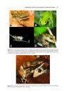Amphibian Biology, Volume 9, Part 5