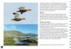 A Visitor's Guide to the Falkland Islands