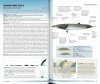 Field Guide to Whales, Dolphins and Porpoises