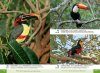 Birds of Iguazú: Photographic Guide / Aves de Iguazú: Guía Fotográfica