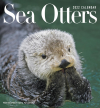 Sea Otters by Tom and Pat Leeson: 2022 Wall Calendar