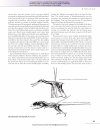 The Princeton Field Guide to Pterosaurs
