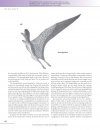 The Princeton Field Guide to Pterosaurs