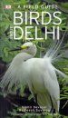 Birds about Delhi