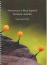 Myxomycetes at Black Sugarloaf Tasmania, Australia