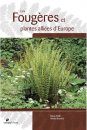 Les Fougères et Plantes Alliées d'Europe [Ferns and Allied Plants of Europe]
