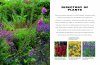 How to Create A Wildlife Garden