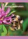 Pollinators in Crisis