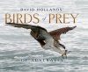 David Hollands’ Birds of Prey Of Australia