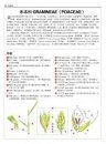 Illustrated Flora of Taiwan, Volume 3: Gramineae-Stellariaceae [Chinese]