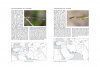 Atlas of the Dragonflies and Damselflies of West and Central Asia