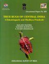True Bugs of Central India