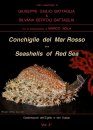 Seashells of Red Sea / Conchiglie del Mar Rosso