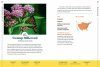 100 Plants to Feed the Monarch