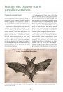Les Chauves-Souris de France, Belgique, Luxembourg & Suisse [Bats of France, Belgium, Luxembourg and Switzerland]