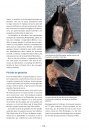 Les Chauves-Souris de France, Belgique, Luxembourg & Suisse [Bats of France, Belgium, Luxembourg and Switzerland]