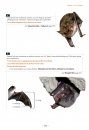 Les Chauves-Souris de France, Belgique, Luxembourg & Suisse [Bats of France, Belgium, Luxembourg and Switzerland]