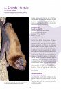Les Chauves-Souris de France, Belgique, Luxembourg & Suisse [Bats of France, Belgium, Luxembourg and Switzerland]