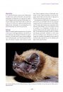 Les Chauves-Souris de France, Belgique, Luxembourg & Suisse [Bats of France, Belgium, Luxembourg and Switzerland]