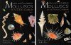 Marine and French Water Molluscs of the French Carribean (2-Volume Set)