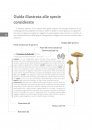 Guida Introduttiva al Genere Cortinarius in Europa [Introductory Guide to the Genus Cortinarius in Europe]