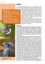Crossbill Guide: Veluwe [Dutch]
