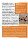 Crossbill Guide: Veluwe [Dutch]