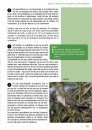 Crossbill Guide: Veluwe [Dutch]