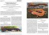 Threatened Newts and Salamanders, Volume 3: Captive Care Management / Gefährdete Molch- und Salamanderarten der Welt, Band 3: Richtlinien für Erhaltungszuchten