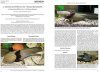 Threatened Newts and Salamanders, Volume 3: Captive Care Management / Gefährdete Molch- und Salamanderarten der Welt, Band 3: Richtlinien für Erhaltungszuchten