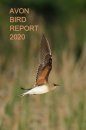 Avon Bird Report 2020
