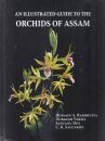 An Illustrated Guide to the Orchids of Assam