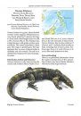 The Book of Monitor Lizards